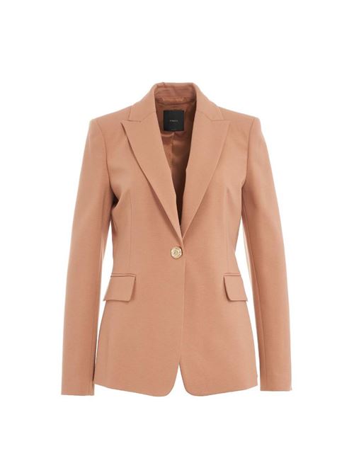 Brown women's jacket Pinko | 100254-A15O.C96